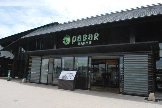 sDSC_0231.jpg