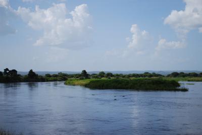 sDSC_0257.jpg