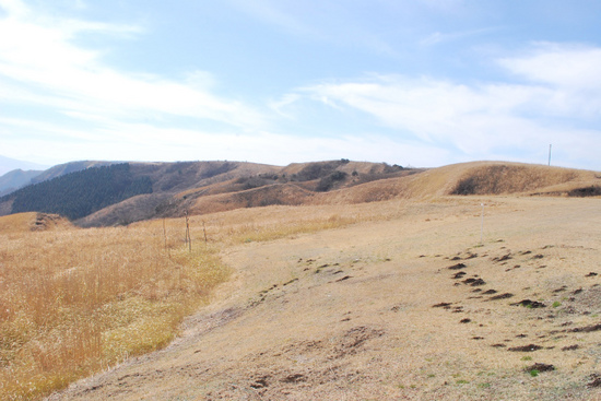 sDSC_0260.jpg