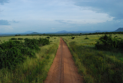 sDSC_0300.jpg