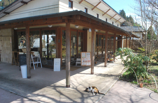sDSC_0301.jpg