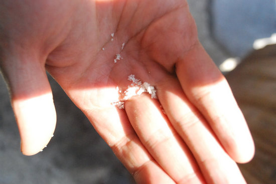 sDSC_0354.jpg