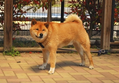 sDSC_0477.jpg