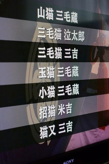 sDSC_0478.jpg