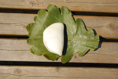 sDSC_0489.jpg