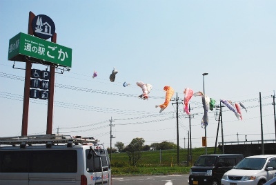 sDSC_0499.jpg