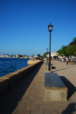 sDSC_0582.jpg