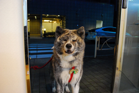 sDSC_0608.jpg