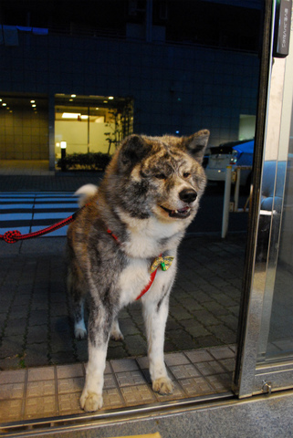 sDSC_0612.jpg