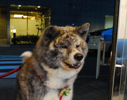 sDSC_0612 - コピー.jpg