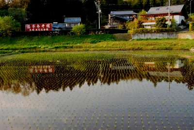 sDSC_0619.jpg