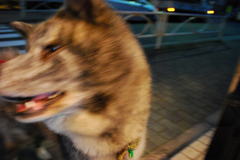 sDSC_0624.jpg