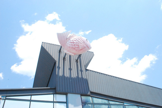 sDSC_0725.jpg