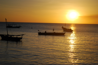 sDSC_0733.jpg