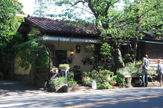sDSC_0795.jpg