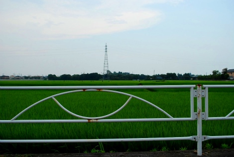 sDSC_1595.jpg