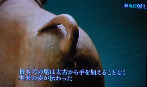 sippo.jpg